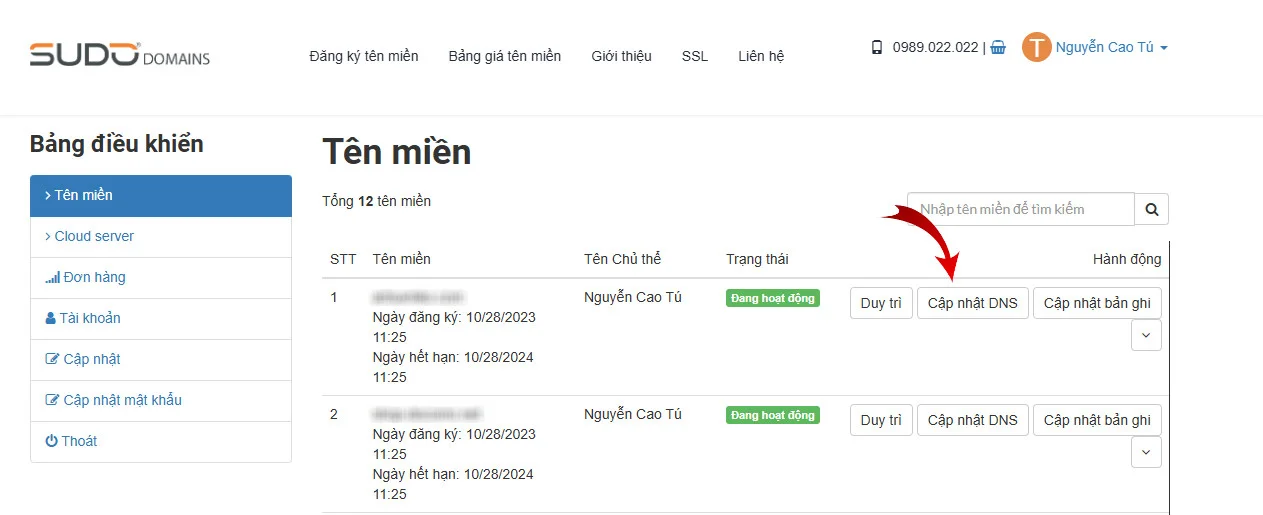 Giao diện danh sách quản lý tên miền tại Sudo