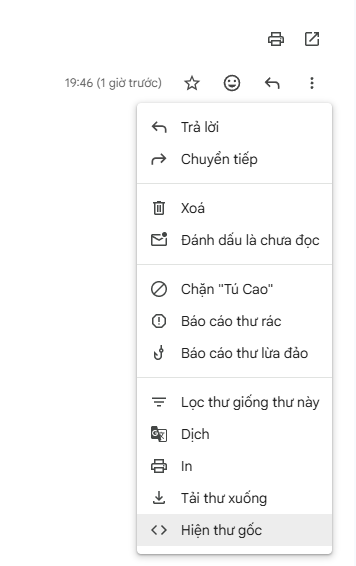 Chọn Hiện thư gốc để kiểm tra