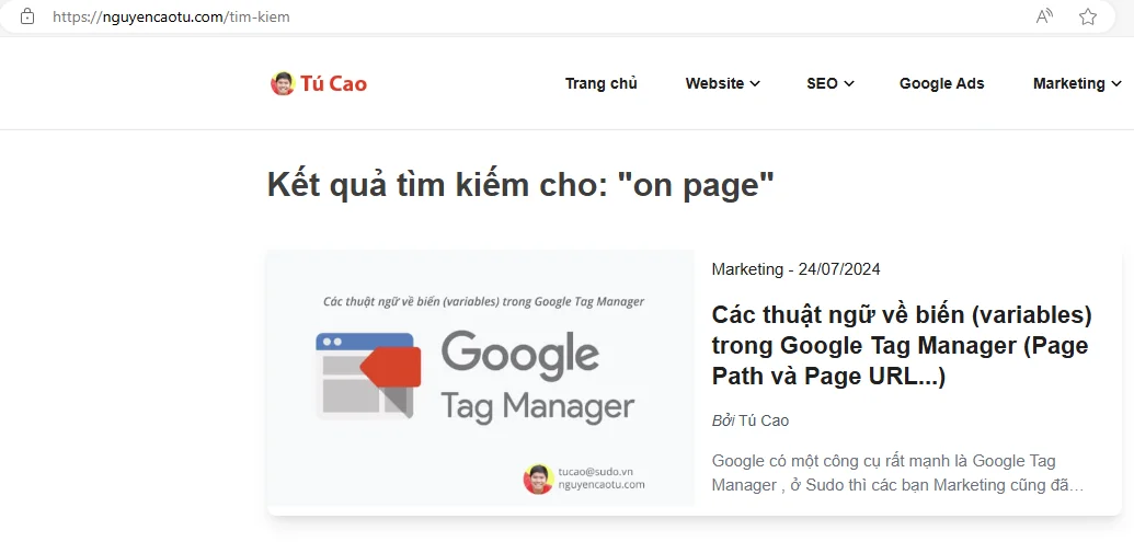 Tính năng tìm kiếm trên Blog của Tú Cao