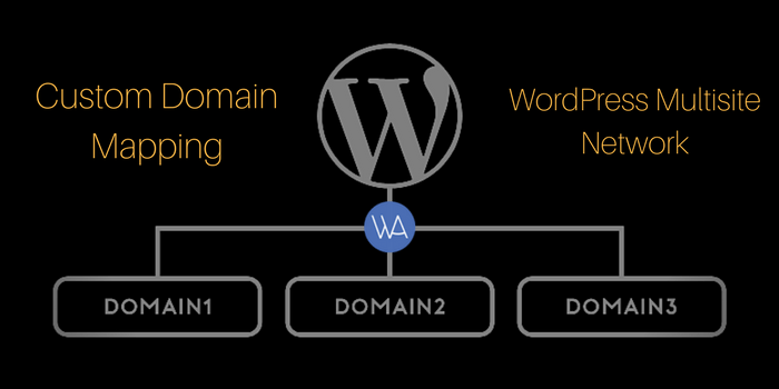 WordPress MU Domain Mapping
