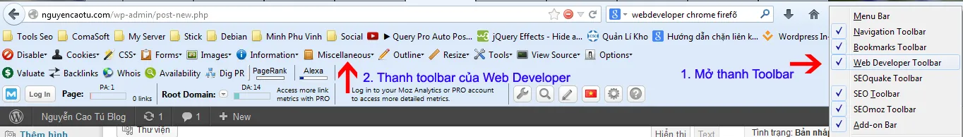 Toolbar Web developer